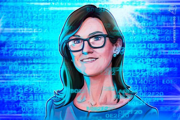 Cathie Wood: Bitcoin Non Vedrà Mai Più Crolli dell'85%. Targ | BitcoinLive24